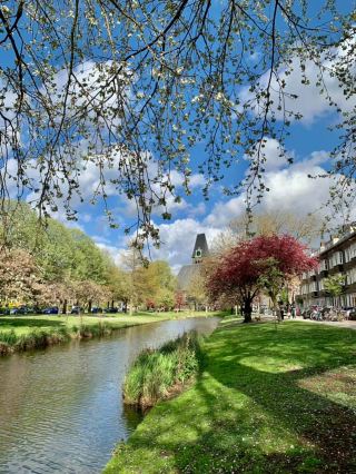 Rotterdam in Spring: A City Bursting with Color and Life