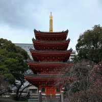 🍜✨ Hakata Ramen Weekend Escape: A Noodle Lover’s Pilgrimage