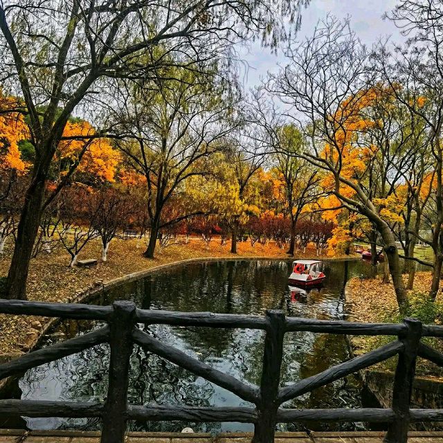 #ForestEscape – A Moment in Shanghai Gongqing Forest Park