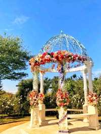 Keisei Rose Garden – Japan’s Blooming Paradise of Roses