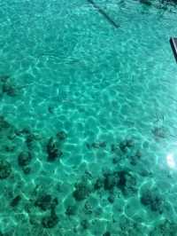 Mabul Water Bungalows: Sleep Above a Coral Garden