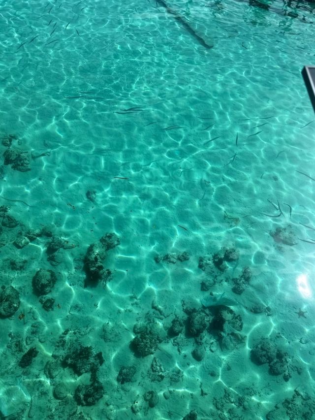 Mabul Water Bungalows: Sleep Above a Coral Garden