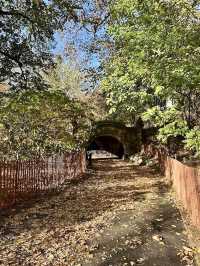 Prospect Park