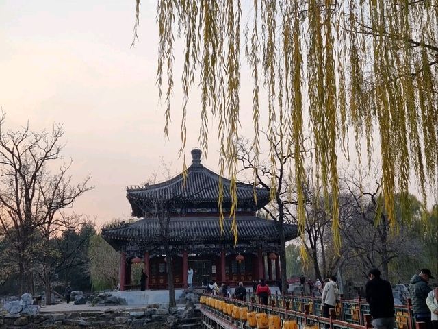 Yuanmingyuan: Finding Peace in Grandeur's Echoes