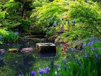 Nezu Museum – Where Art, Architecture, and Nature Meet in Harmony