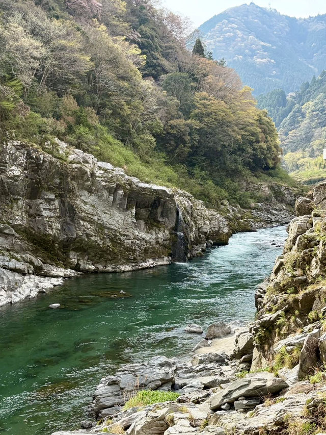 Scenic Adventure in Ōboke & Koboke Gorge 🚤⛰️