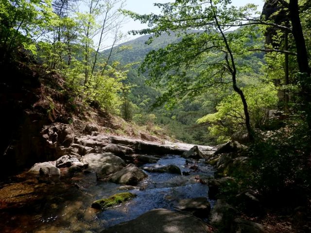 Tiny Hike, Big Vibes
