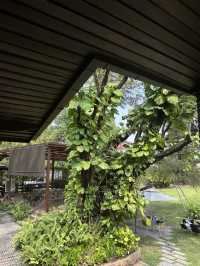 🌿 Early Owls Café คาเฟ่