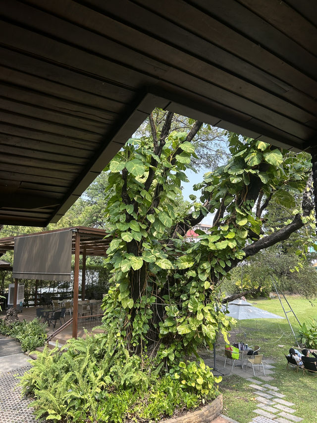 🌿 Early Owls Café คาเฟ่