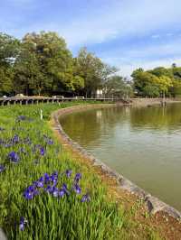奈良｜比橿原神宮更早 長山稻荷社守護著日本起源