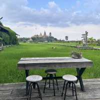 Rice Field Café Near Bangkok — Absolutely Instagrammable! 🌾📸