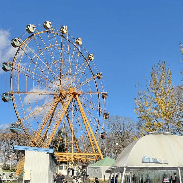 1日中楽しめる‼️レトロ遊園地と動物園