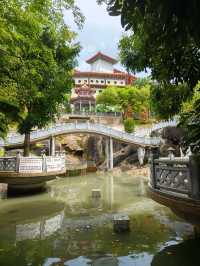 Free Culture and Calm Views