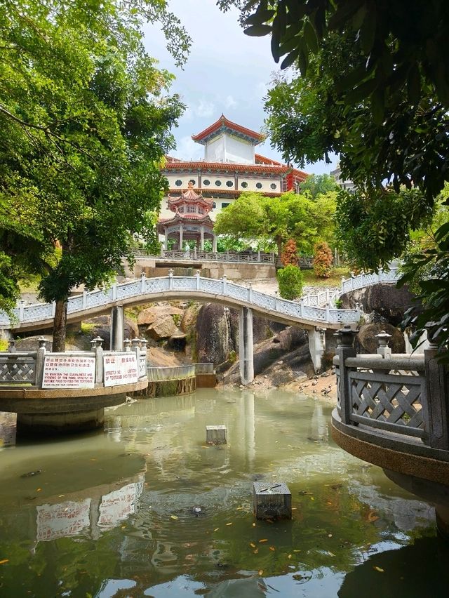 Free Culture and Calm Views