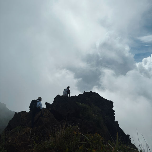 GALAPAGOS OF ASIA: SIBUYAN ISLAND