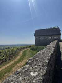 Burgundy for Wine Lovers: A Journey Through France’s Most Precious Vineyards