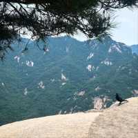 Climbing Wonhyobong Peak