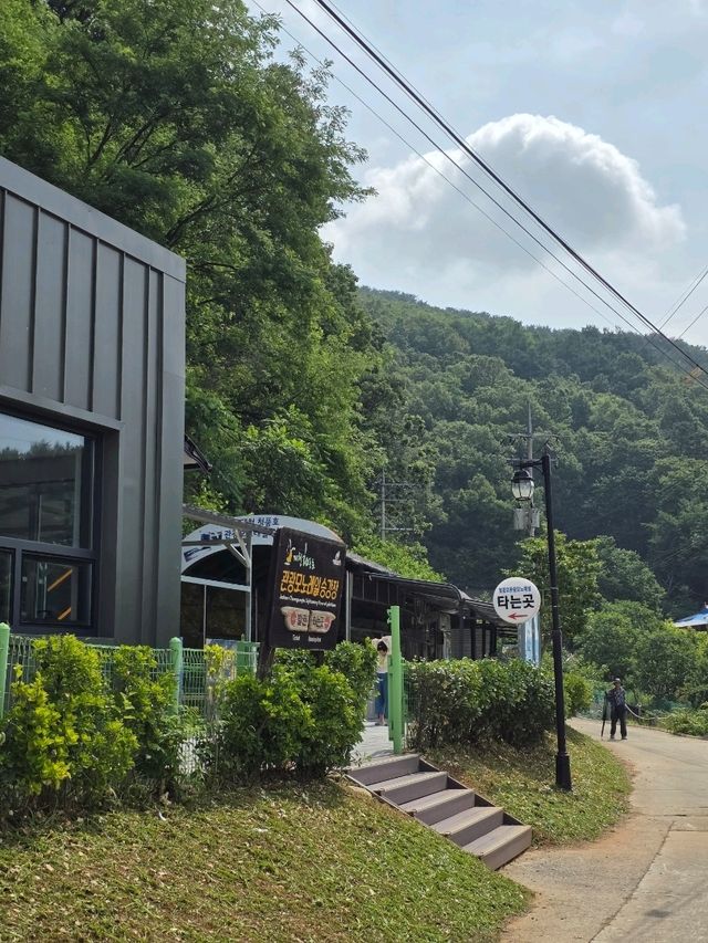 이색 데이트 코스로 찜! 제천 청풍호 모노레일