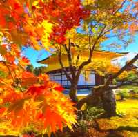 京都