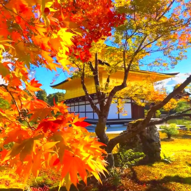京都
