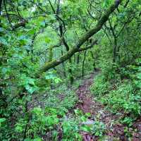 Mudeungsan Green Trail: Nature Walkin’ Like a Pro