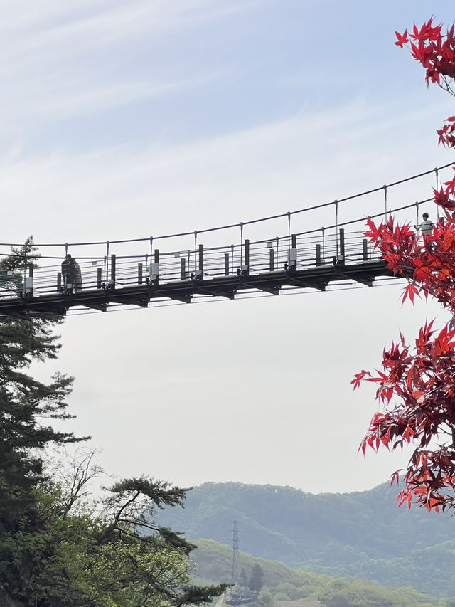 충주 당일치기 여행코스🩶🐊