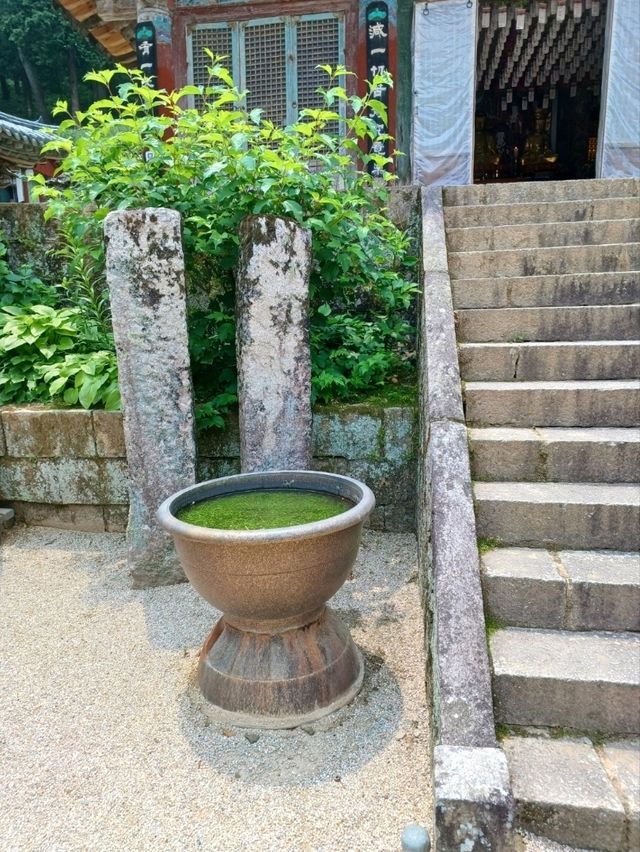 숲길 데이트