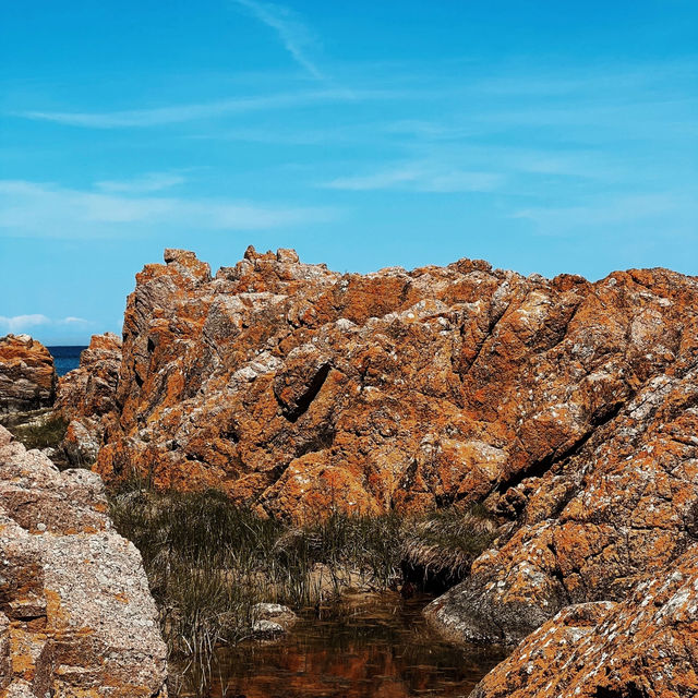 Denmark | Bornholm: Sunshine Makes Copenhagen a Distant Memory! ☀️🏖️