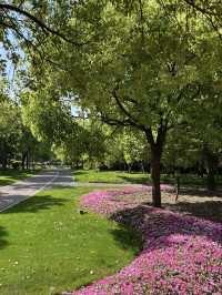 A Wetland Oasis by the River – Houtan Park, Shanghai
