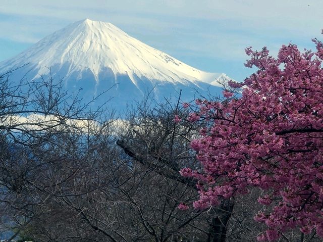 니폰다이라 호텔(Nippon Daira Hotel) 니혼다이라 트윈룸 후지산뷰