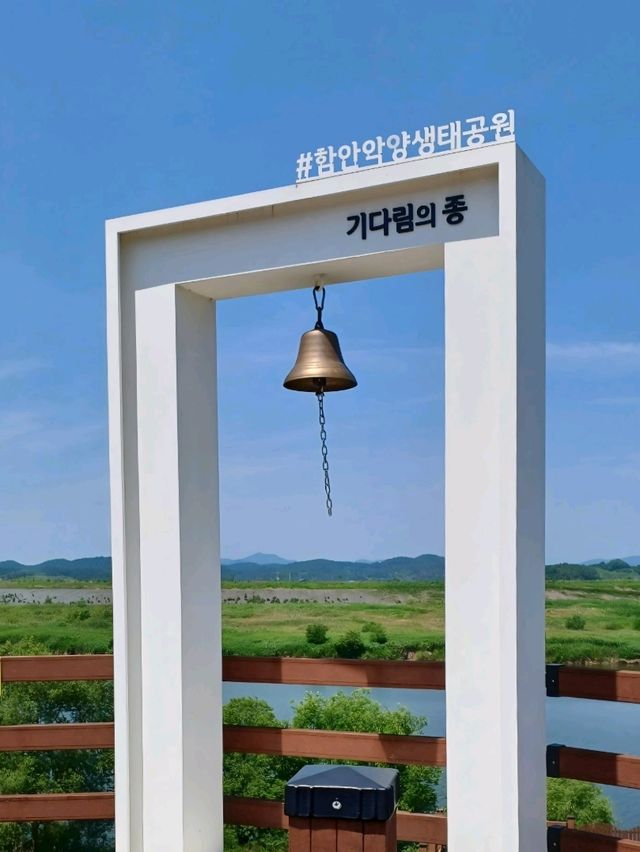노란 물결 속 봄맞이 꽃놀이, 악양생태공원 🌼