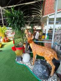 Budget Escape: A Café Hidden Among Plants in Desaru