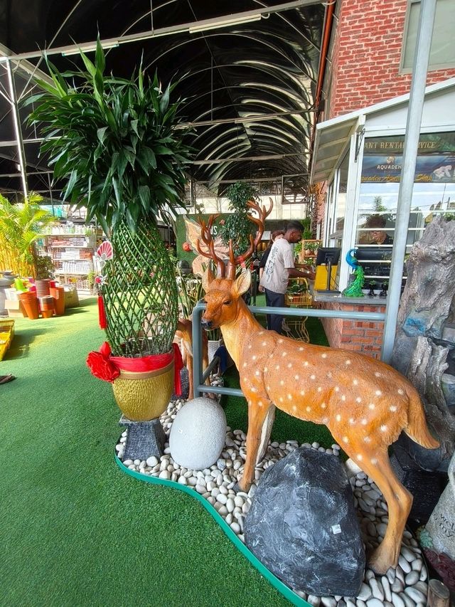 Budget Escape: A Café Hidden Among Plants in Desaru