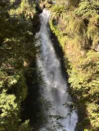 滿月圓森林公園｜新北三峽的清新綠洲，親近山林的最佳選擇