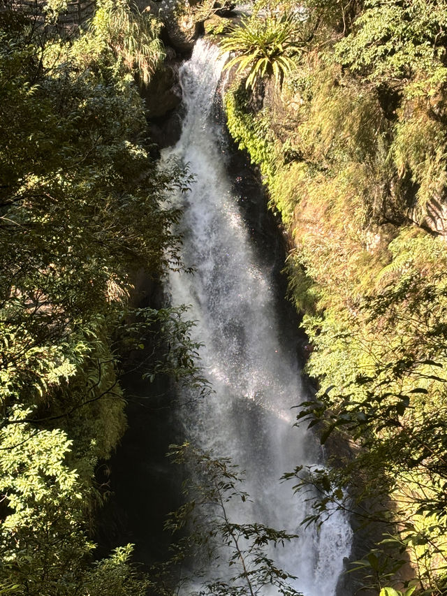 滿月圓森林公園｜新北三峽的清新綠洲，親近山林的最佳選擇