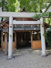 神明守護的水源小祠，伊勢市車站旁〔世木神社〕⛩️