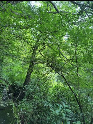 📍【茨城・筑波山】関東平野を一望する“西の富士・東の筑波”の絶景とパワースポット