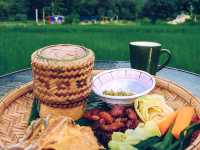 🌾 นอนฟิน กินหมูกระทะ กลางทุ่งนาเขียว 🍃