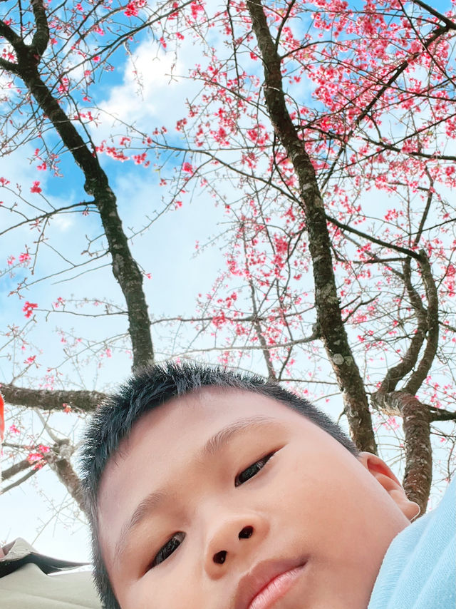 🍊🌸 หนีเมือง มาเจอเขา — ที่เชียงใหม่ก็มีแบบนี้!