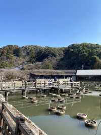 Dazaifu Tenmangu ขอพรเรื่องเรียนในบรรยากาศญี่ปุ่น
