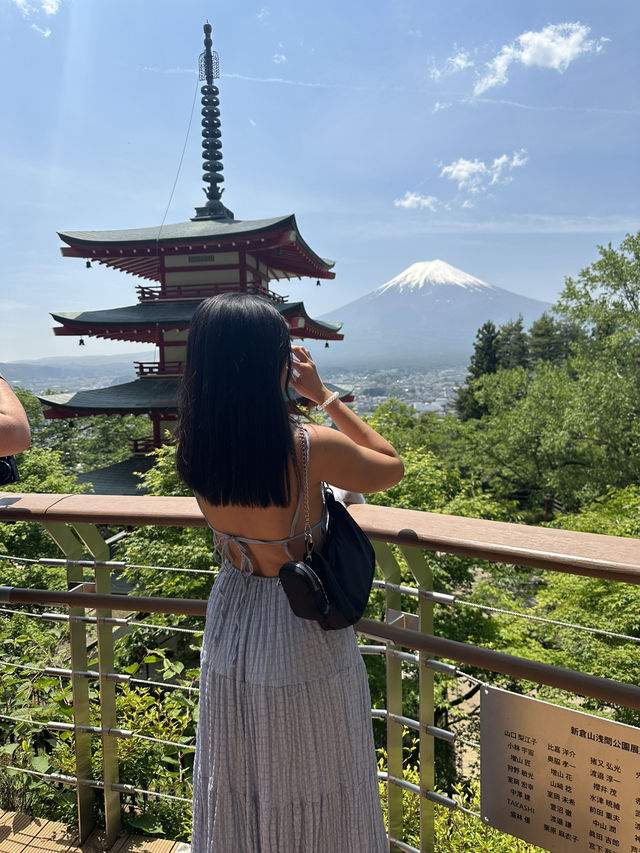 Mr.Fuji @Fujiyoshida 🇯🇵 