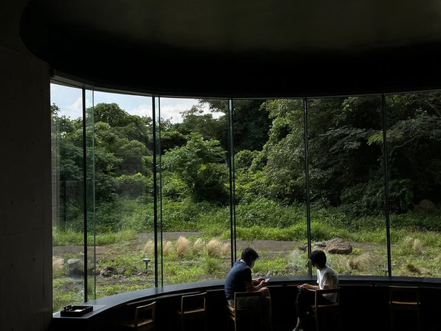 🍵 Jeju Island: A Tranquil Escape to Osulloc Tea Museum!