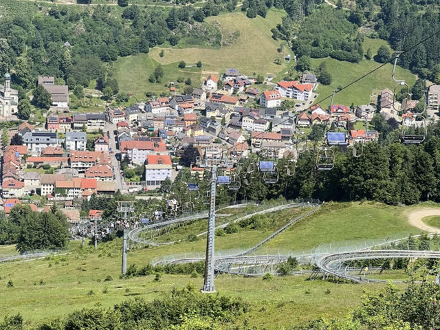 Black Forest Adventure: A Day Trip from Freiburg 🎢🌉🏞️