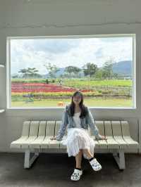 ✨Blossom Bloom Bliss – A Fairytale Café in Khao Yai