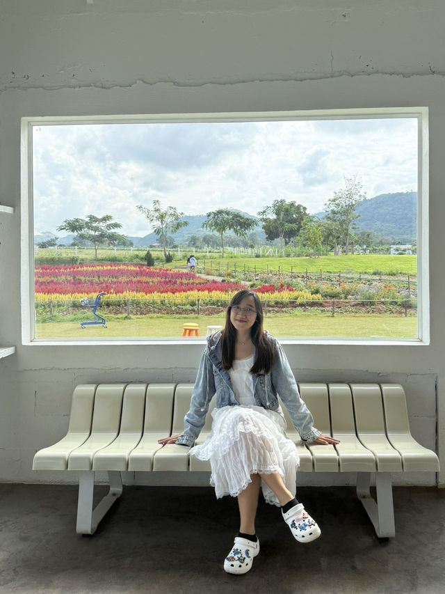 ✨Blossom Bloom Bliss – A Fairytale Café in Khao Yai
