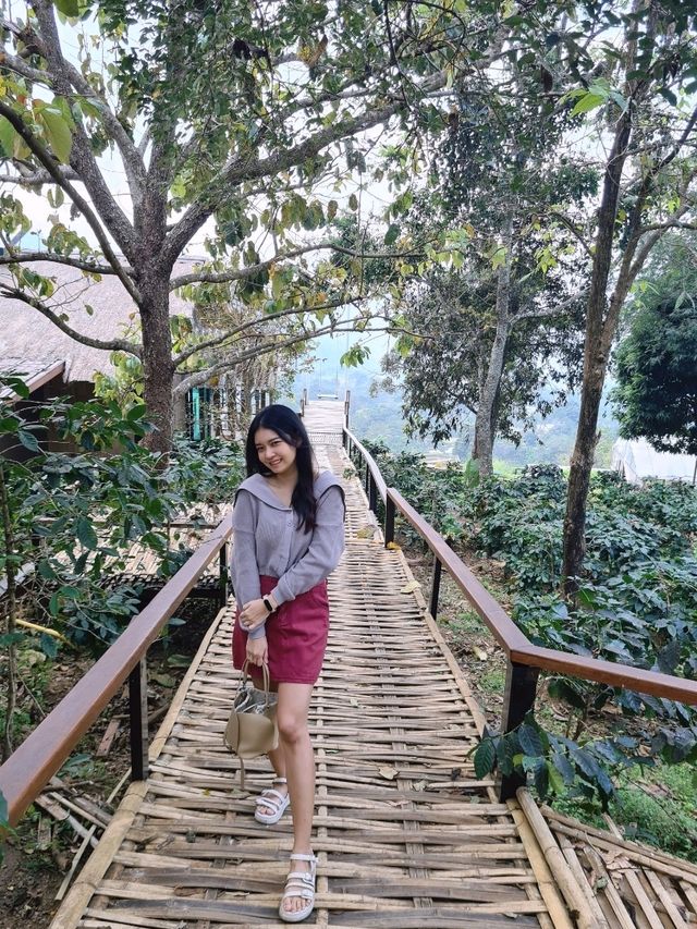 YAYO Farm  คาเฟ่บรรยากาศดีบนดอยช้าง