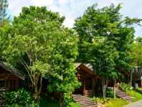 🌿✨ Philea Resort & Spa, Melaka – Nature Escape with Wooden Charm! 🏡🌸
