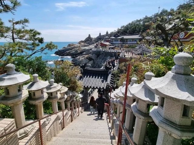 海と共鳴する神聖な空間、海東龍宮寺