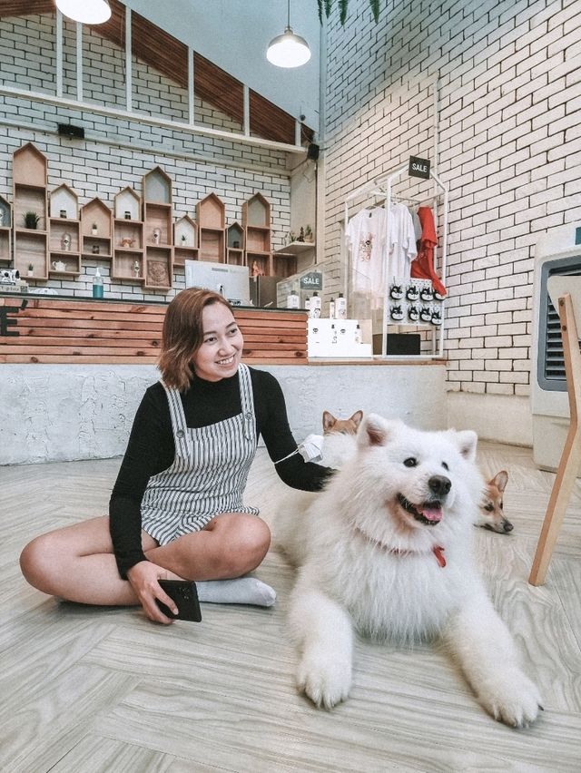 Cuteness overload at a Cafe in BKK 🇹🇭 🐾