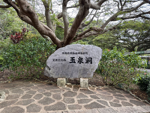 🌌探訪地下奇幻王國！沖繩玉泉洞的魔幻旅程大揭密🌌
